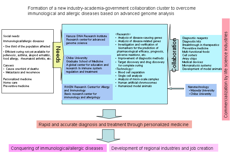 Formation of a new industry-academia-government collaboration cluster to overcome Immunological and allergic diseases based on advanced genome analysis